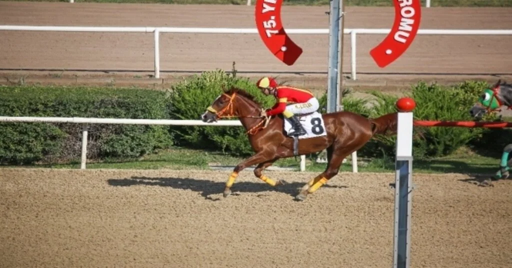 Sultansuyu Harası Kupaları Toplamaya Devam Ediyor