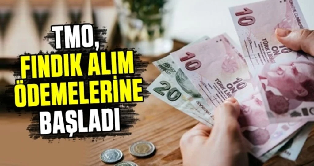 TMO, fındık alım ödemelerine başladı