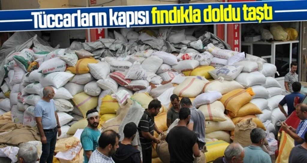 Tüccarların kapısı fındıkla doldu taştı