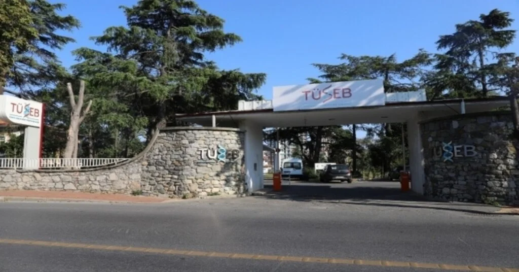 Tüsebden Hesaplamalı Yapısal Biyoloji Stratejik Ar-Ge Proje Çağrısı