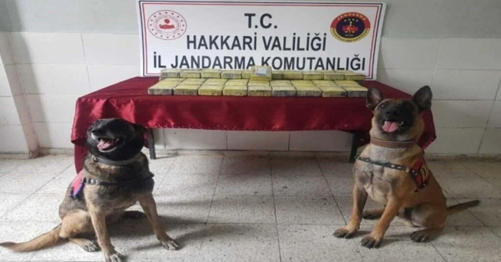 Yüksekovada 34 Kilo Eroin Ele Geçirildi