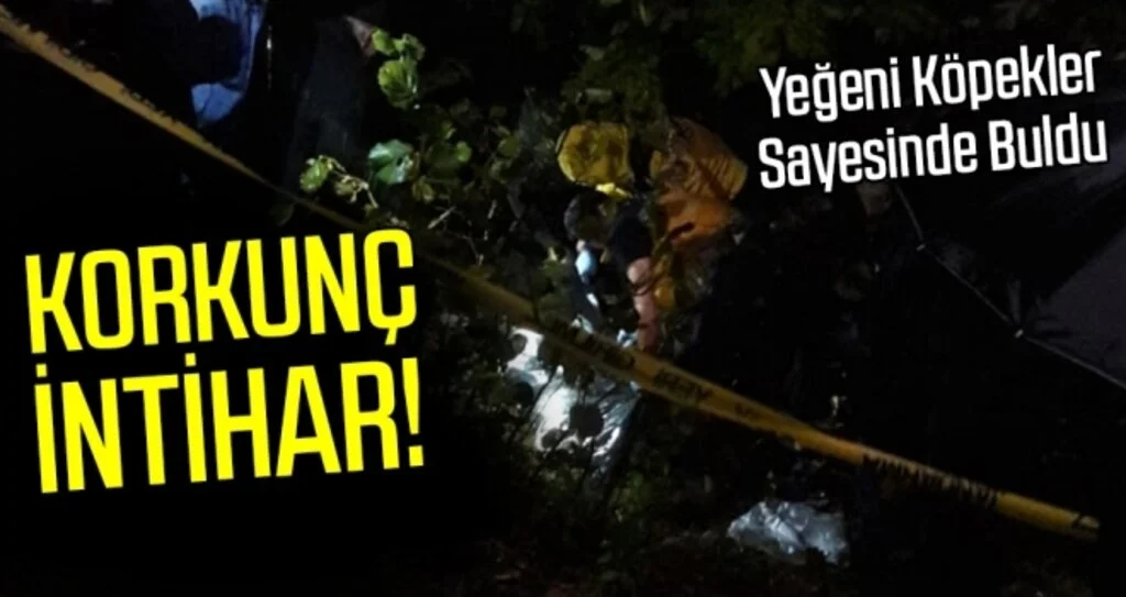 3 çocuk annesi kendisini meşe ağacına astı
