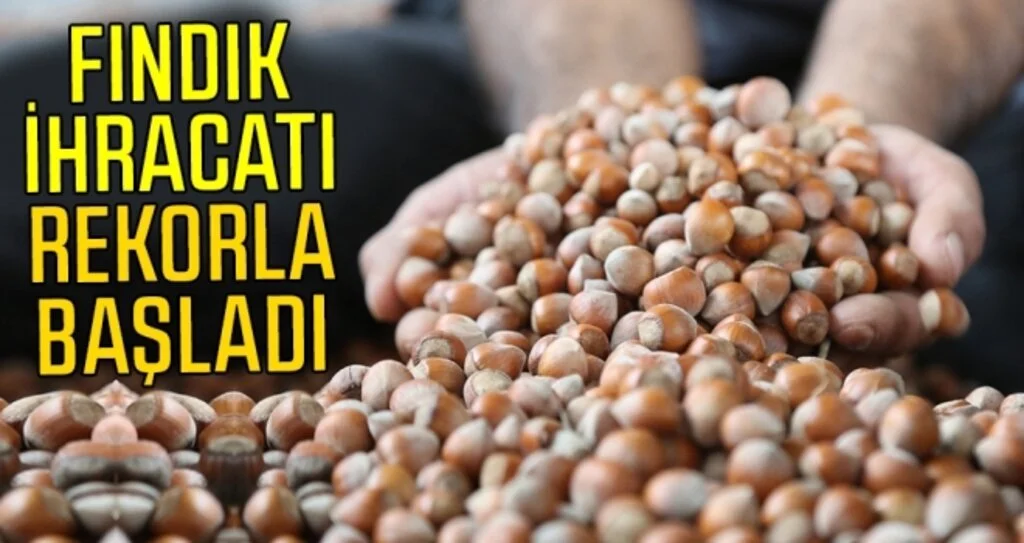 Fındık ihracatı rekorla başladı