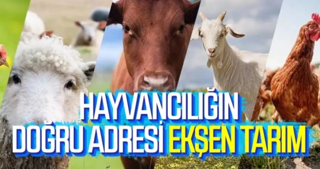 HAYVANCILIĞIN DOĞRU ADRESİ EKŞEN TARIM