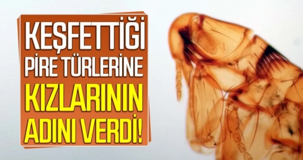 Keşfettiği pire türlerine  kızlarının adını verdi