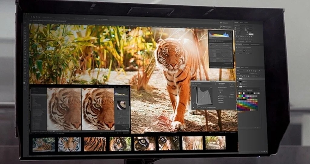 Mükemmel Monitörü Arayanlara Acer’dan İpuçları