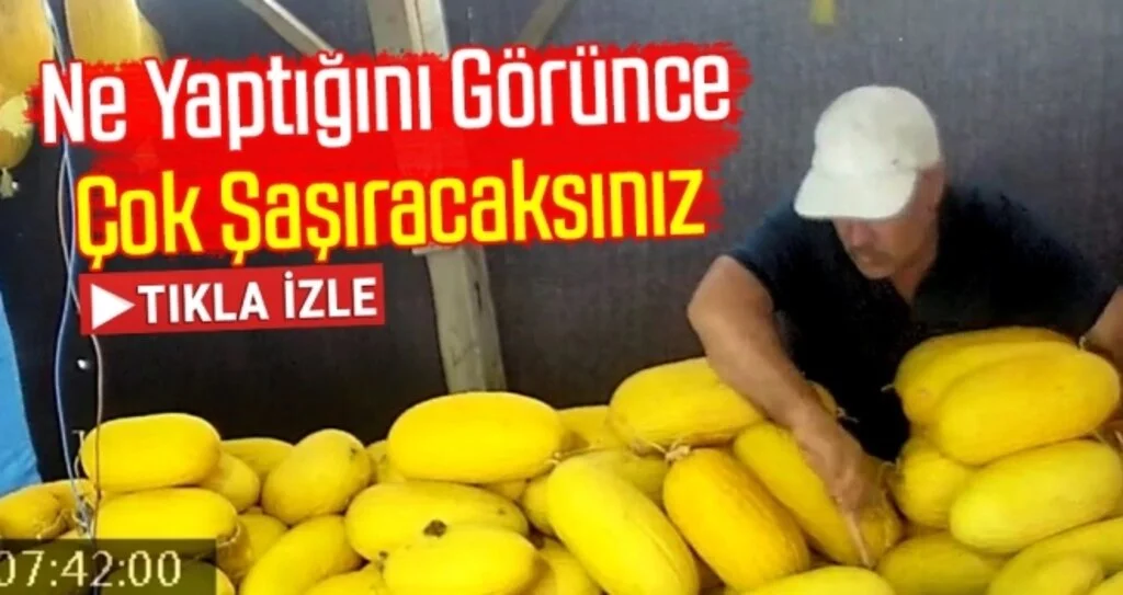 Ne Yaptığını Görünce Çok Şaşıracaksınız