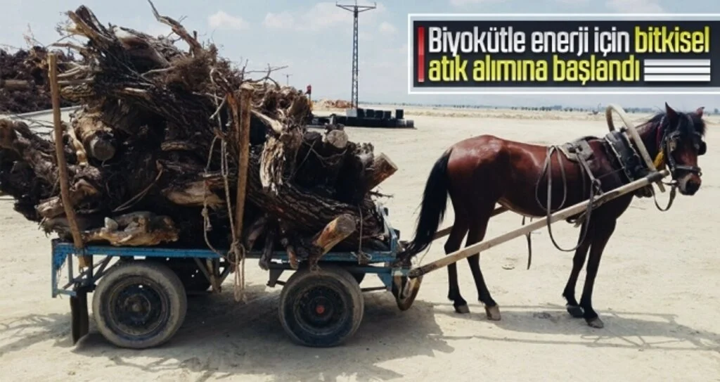 OKE bitkisel atık alımına başladı
