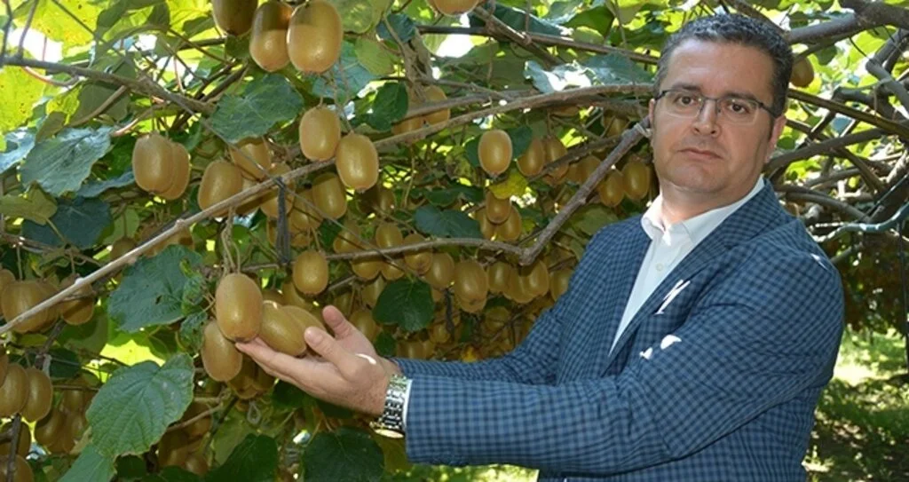 Ordu kivisi tescillendi