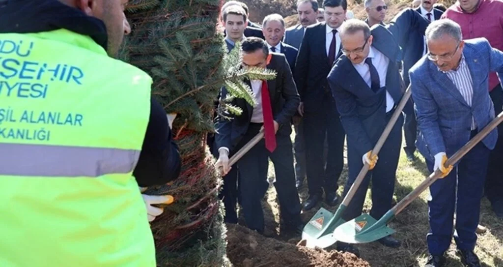 Ordu'da Barış Pınarı Harekatı şehidi için hatıra ormanı