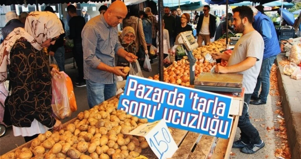 Pazarda 'tarla sonu' ucuzluğu