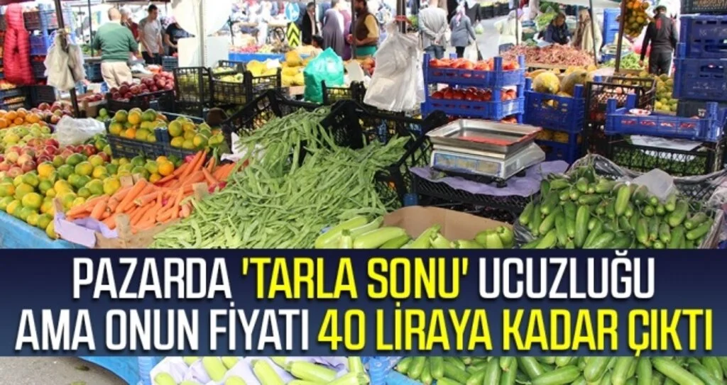 Pazarda 'tarla sonu' ucuzluğu Ama Onun Fiyatı 40 Liraya Kadar Çıktı