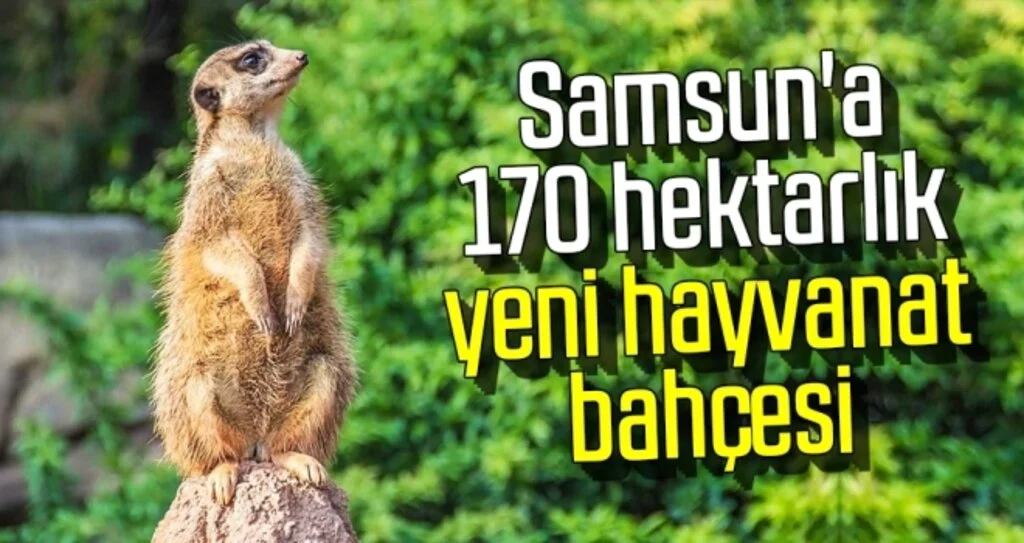 Samsun'a 170 hektarlık yeni hayvanat bahçesi