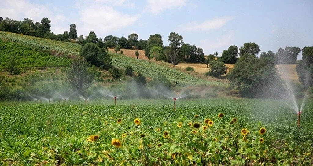 Samsun'da 221 bin 280 dekar tarım arazisi sulandı