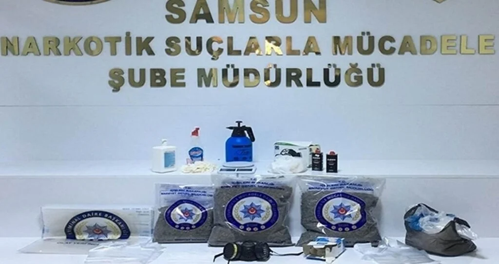 Samsun'da bonzai imalathanesine operasyon: 1 gözaltı