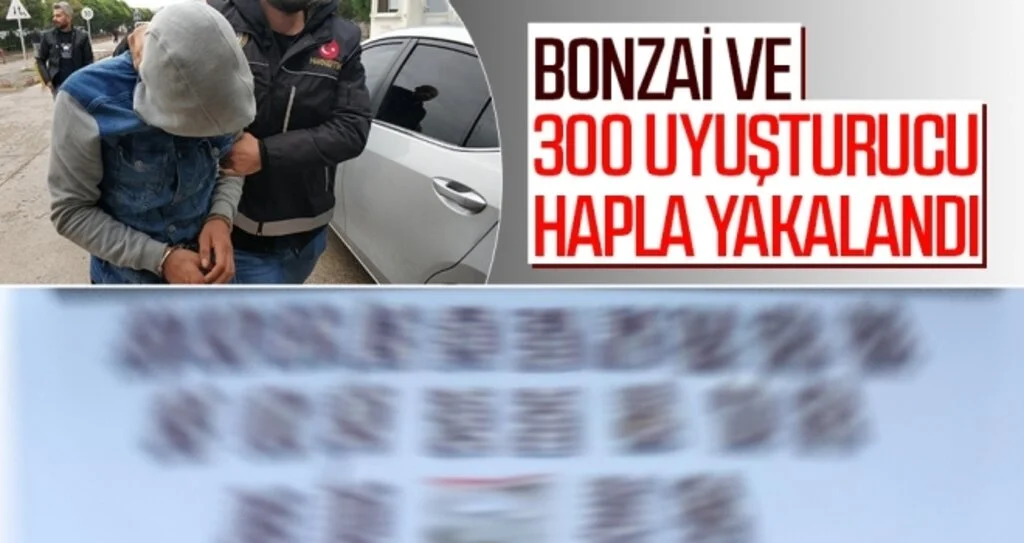 Samsun'da Bonzai ve 300 uyuşturucu hapla yakalandı