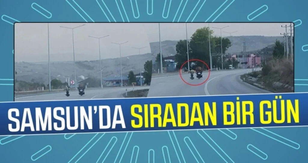 Samsun'da Sıradan Bir Gün