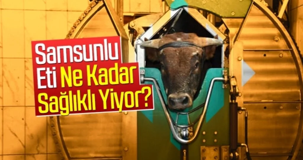 Samsunlu eti ne kadar sağlıklı yiyor?