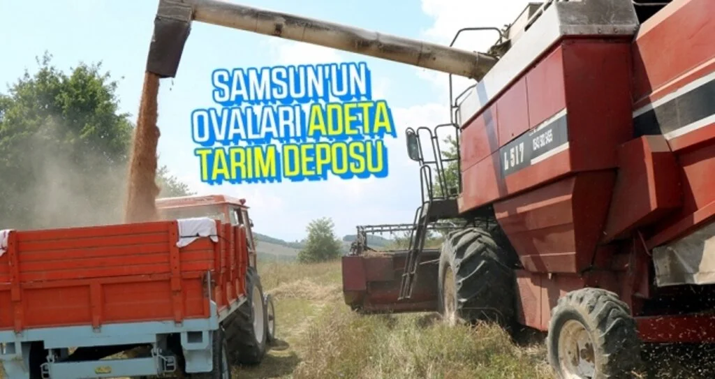 Samsun'un ovaları adeta tarım deposu