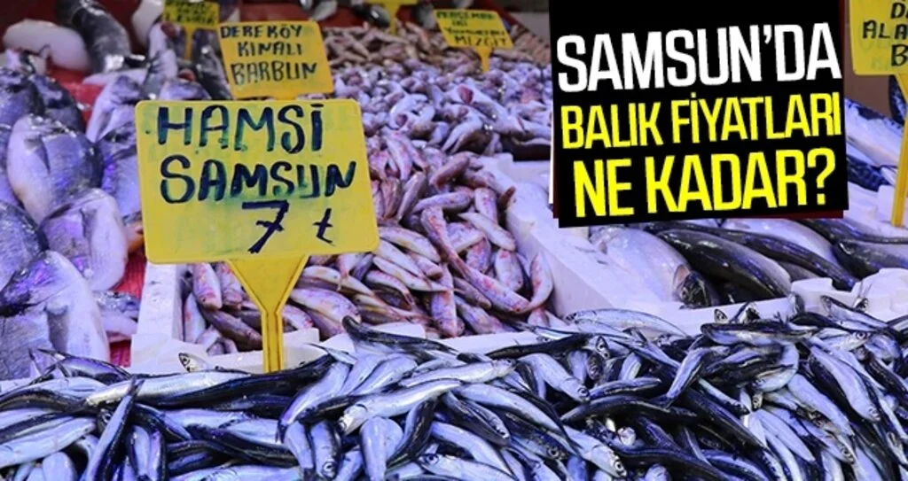 Sezon Balıkları Uygun Fiyata Alıcı Bekliyor Balık Fiyatları Ne Kadar?