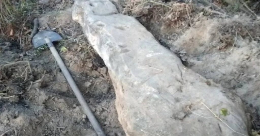 Ukraynada Bronz Dönemine Ait Oymalı Taş Bulundu