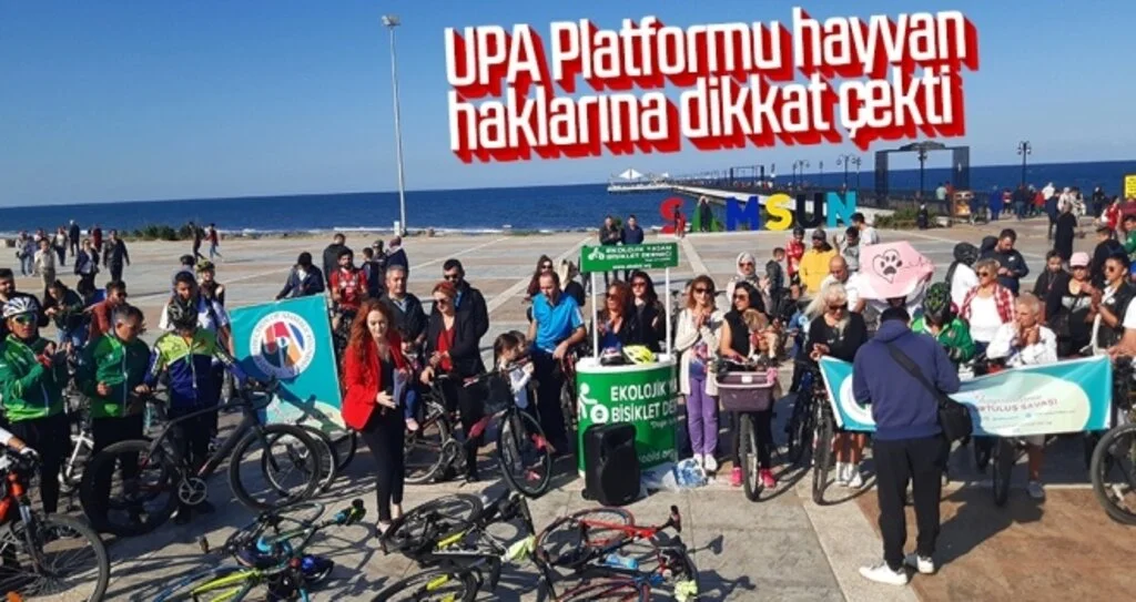 UPA Platformu hayvan haklarına dikkat çekti