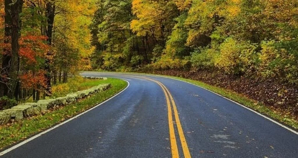 Yandex Sürücüsüz Otomobilleri 1.6 Milyon Km Yol Katetti