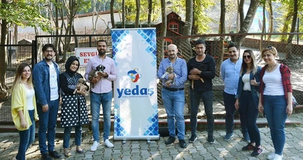 YEDAŞ çalışanları hayvan barınağında 