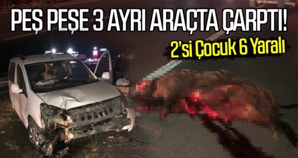 Yola çıkan domuz 3 ayrı kazaya neden oldu: 6 yaralı