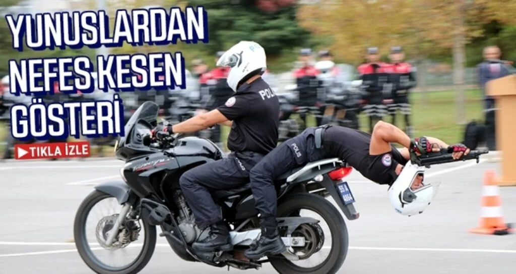 Yunuslardan nefes kesen gösteri