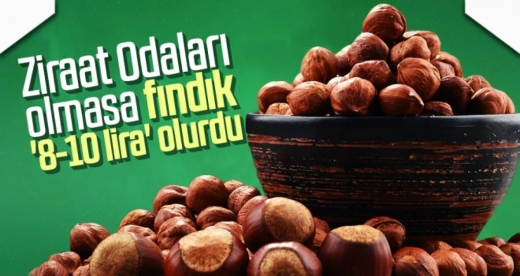 Ziraat Odaları olmasa fındık '8-10 lira' olurdu