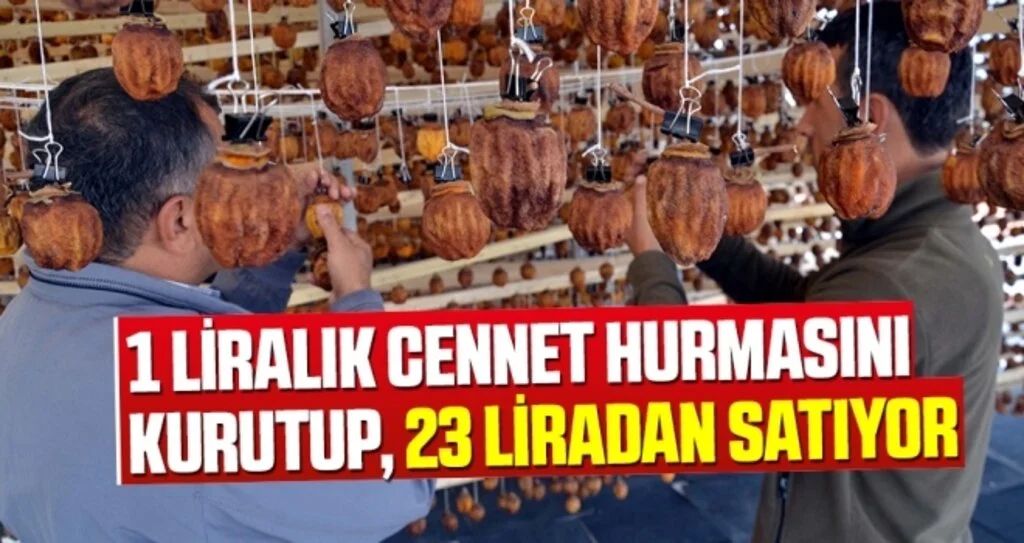 1 liralık cennet hurmasını kurutup, 23 liradan satıyor