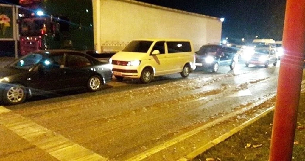25 kasa hamsi yola döküldü