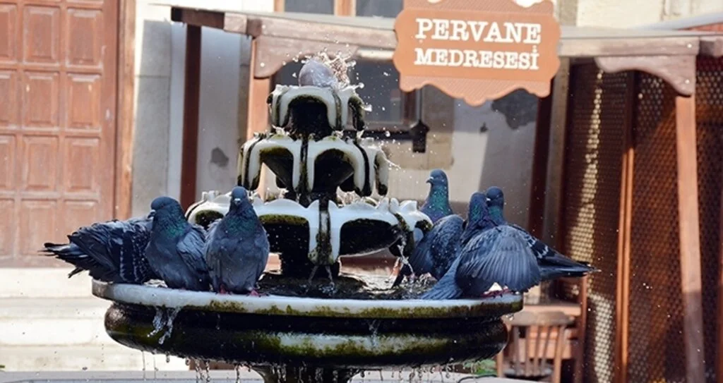 752 yıllık mekan: Pervane Medresesi