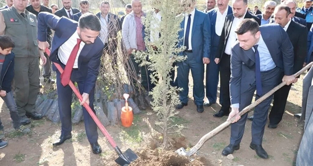 Ayvacık Belediyesi'nde Fidan Dikimi