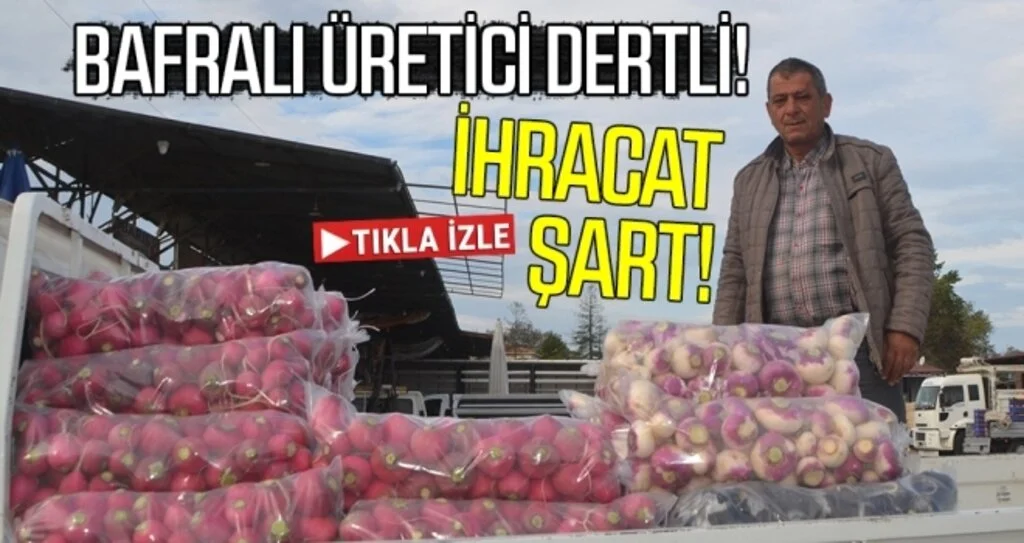 Bafralı Üreticiler Dertli; İhracat Şart