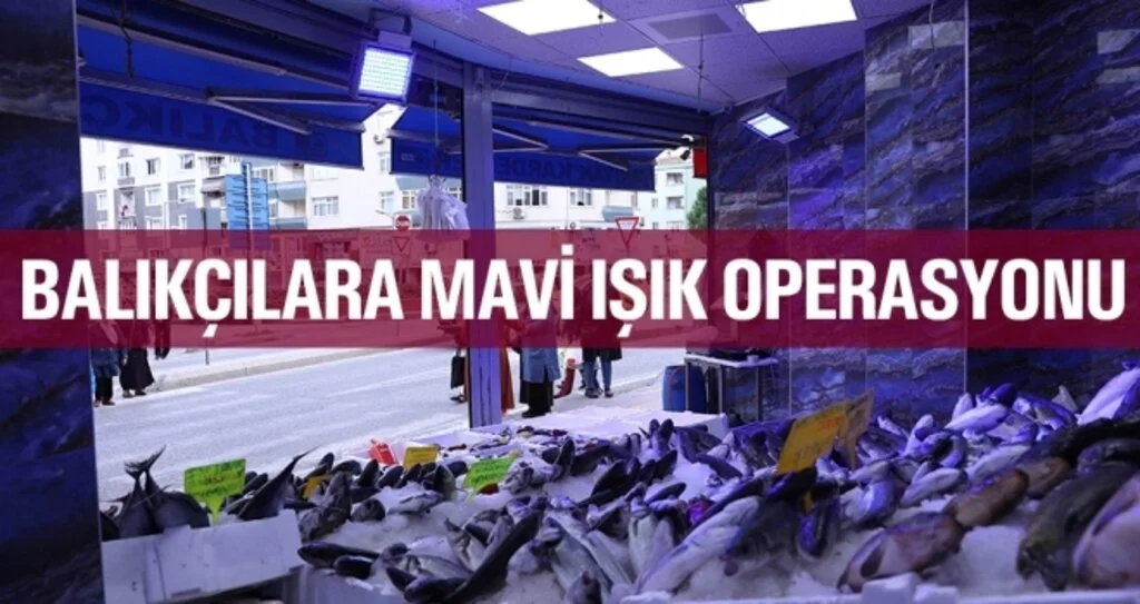 Balıkçıların mavi ışık hilesini zabıta engelledi