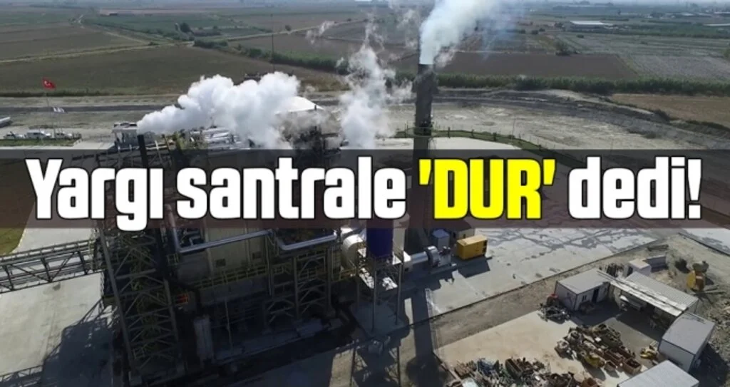 Çarşamba Biyokütle Enerji Santrali için İlk Karar Çıktı!