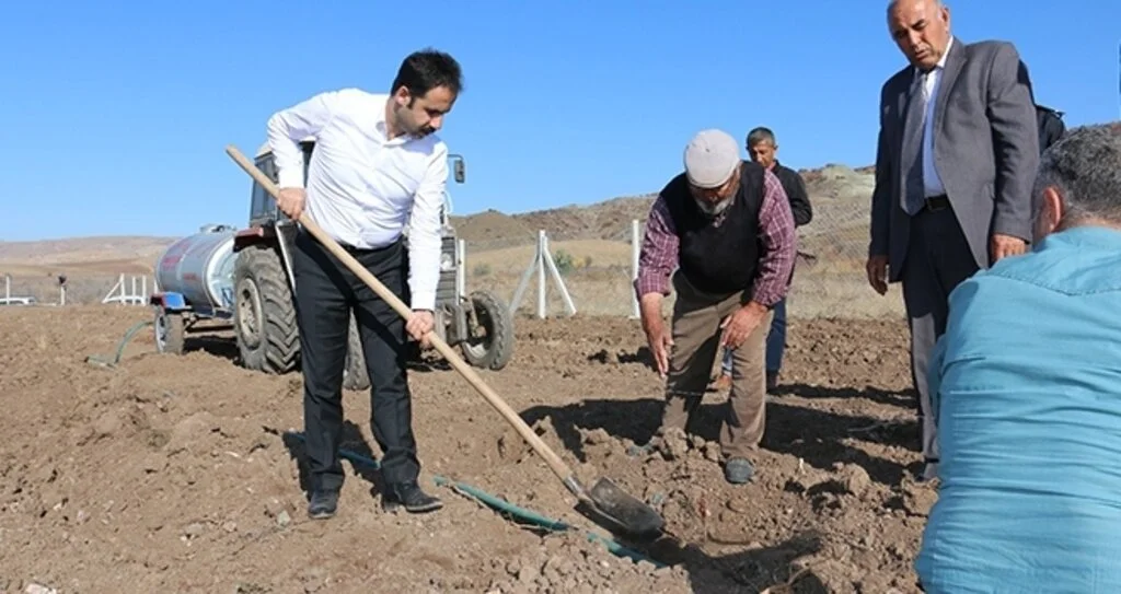 Çorum'da 4 bin yıllık bağlar yeniden hayat buluyor