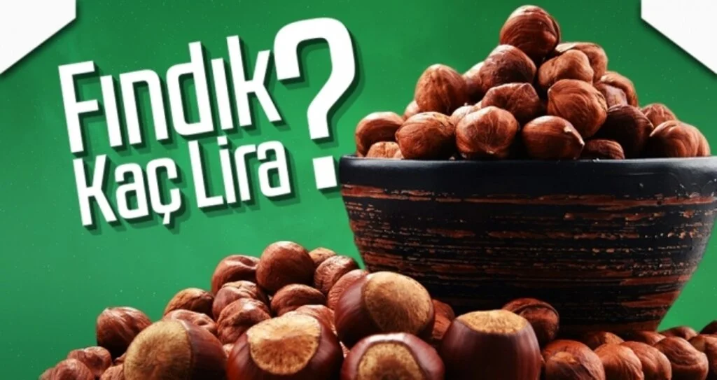 Fındık Kaç Lira?