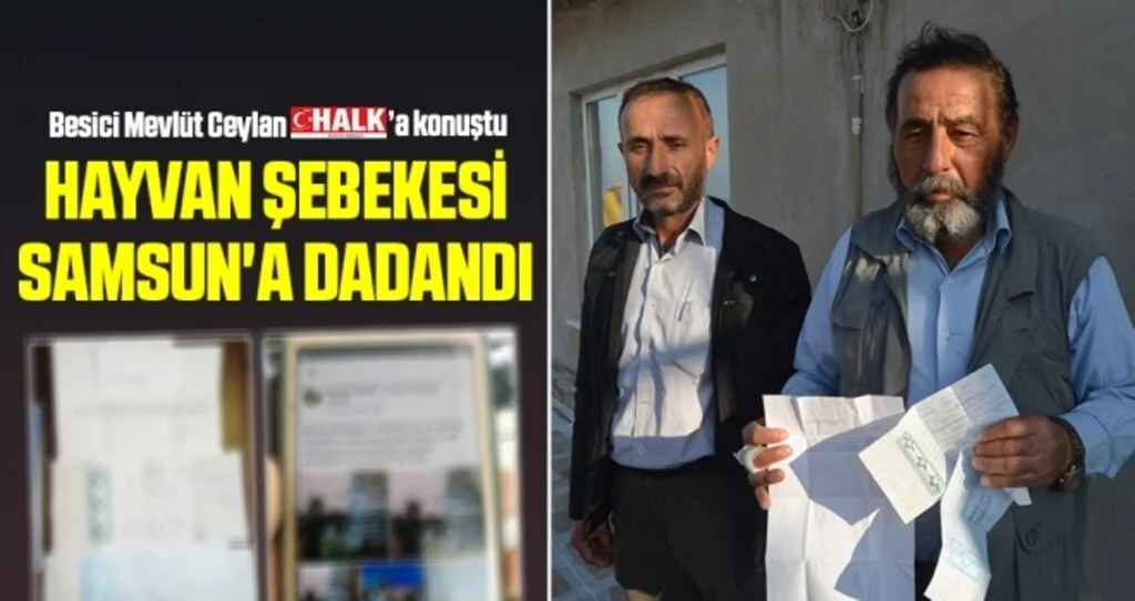 Hayvan Şebekesi Samsun'a Dadandı