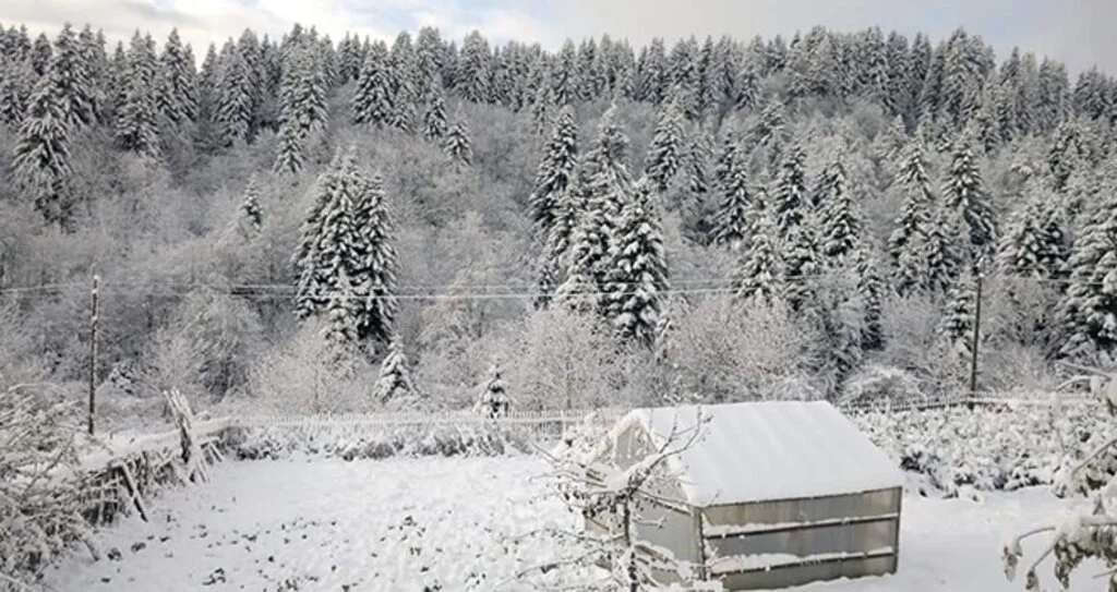 Kasım'da kar sürprizi