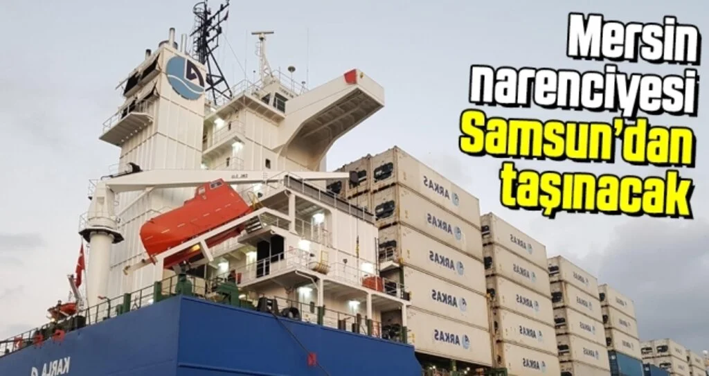 Mersin narenciyesi Samsun’dan taşınacak