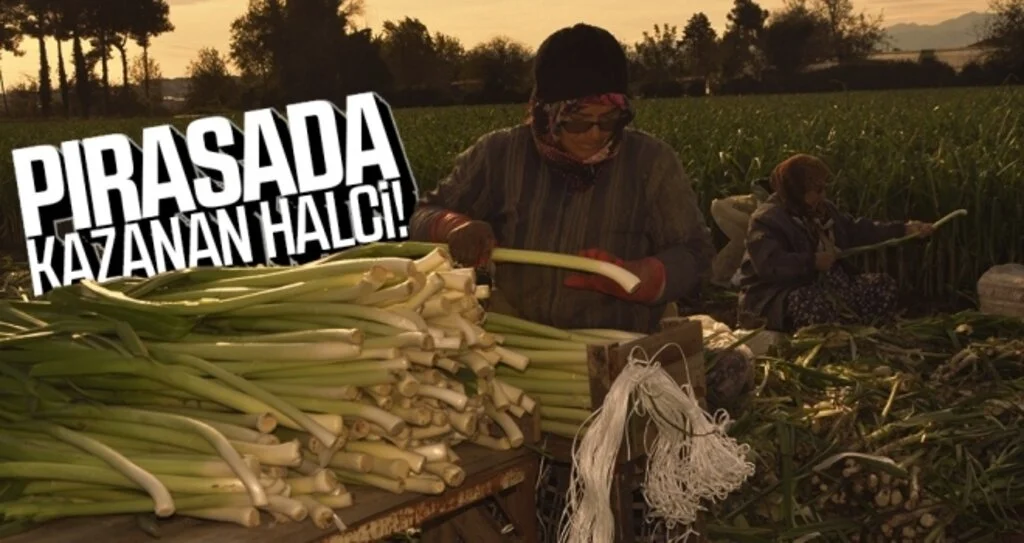Pırasada kazanan halci!