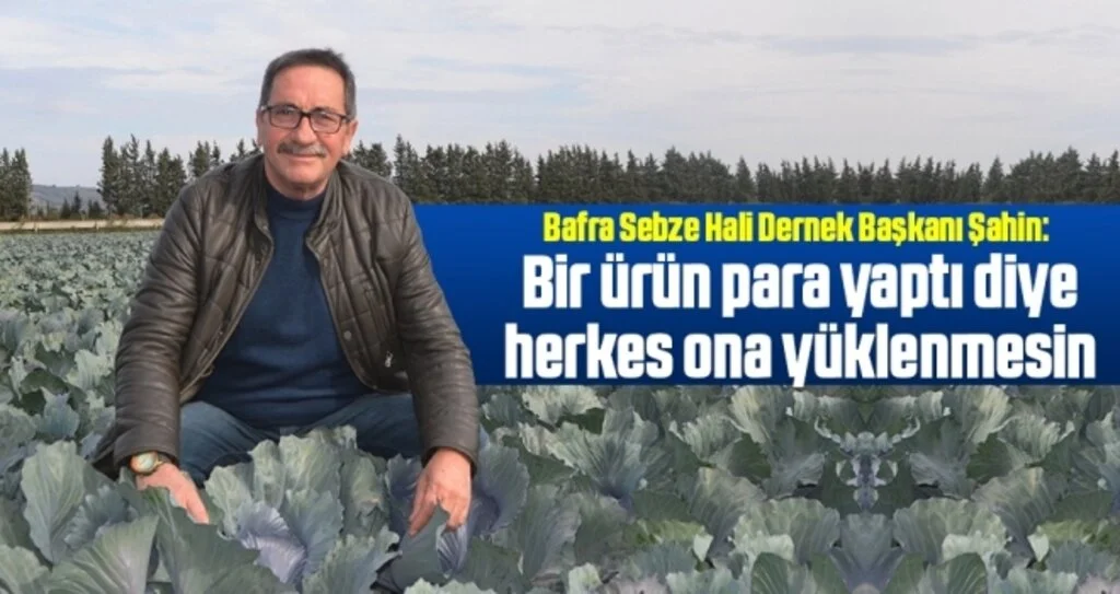 Şahin: Bir ürün para yaptı diye herkes ona yüklenmesin