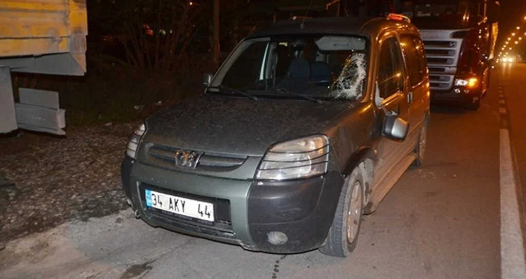 Samsun'da Aniden yola çıkan inek kazaya yol açtı