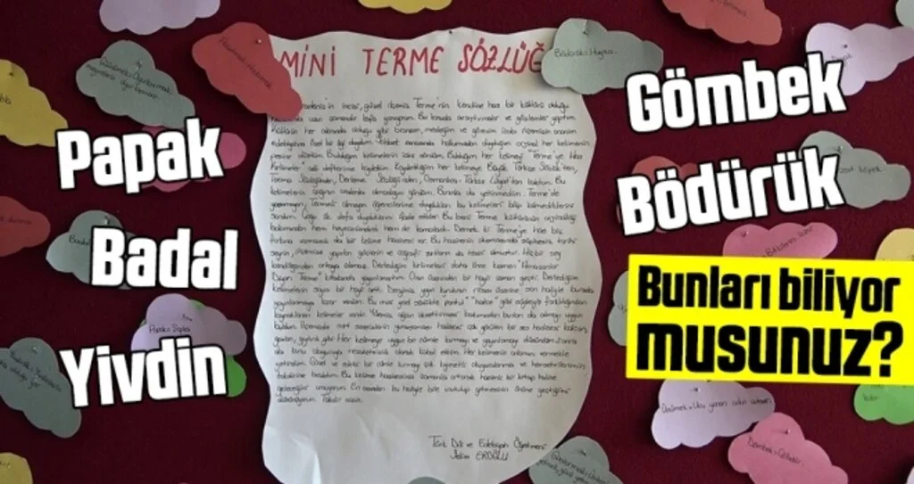 Samsun'da Dillere destan kelimeler