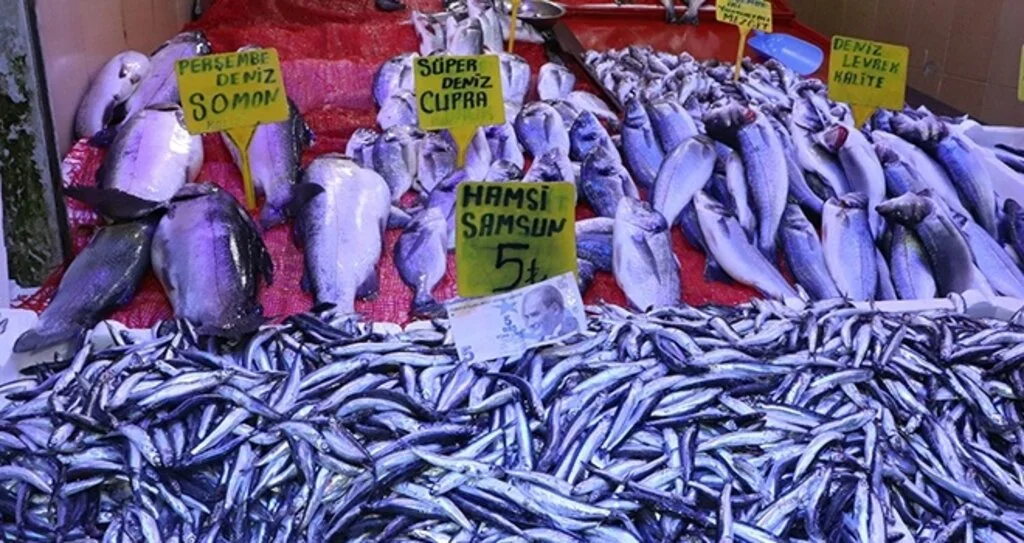 Samsun'da Hamsi Vatandaşın Yüzünü Güldürdü