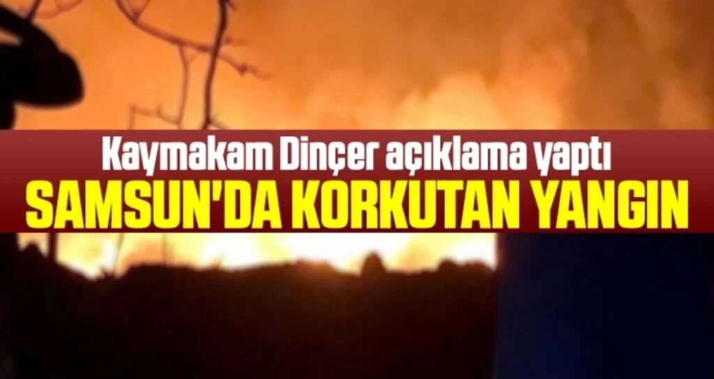 Samsun'da korkutan yangın 