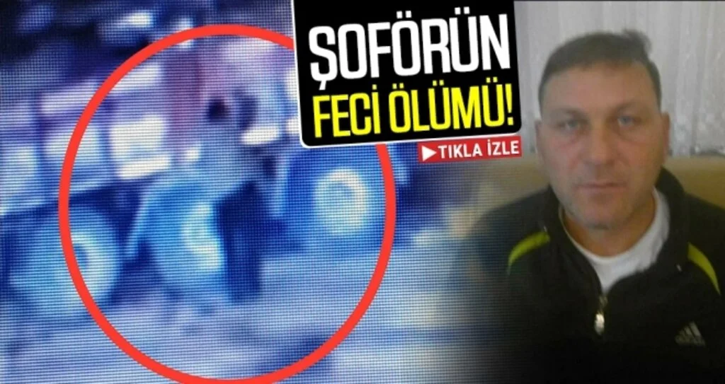 Üzerine kamyondan tomruk düşen şoför hayatını kaybetti